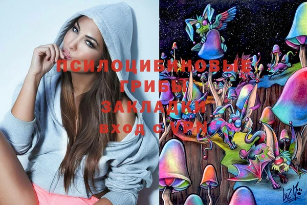прущие крисы Каменногорск