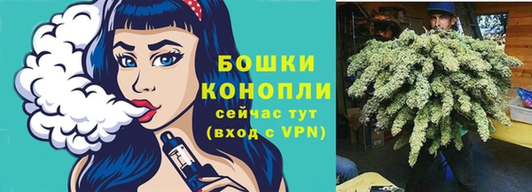 прущие крисы Каменногорск
