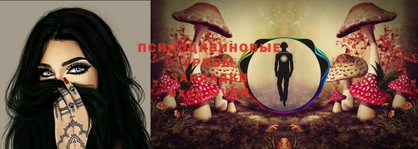 прущие крисы Каменногорск