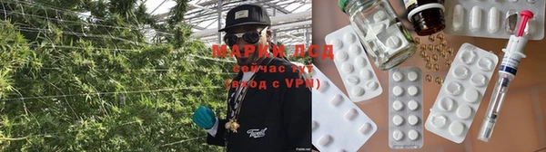 гашик Каменск-Шахтинский