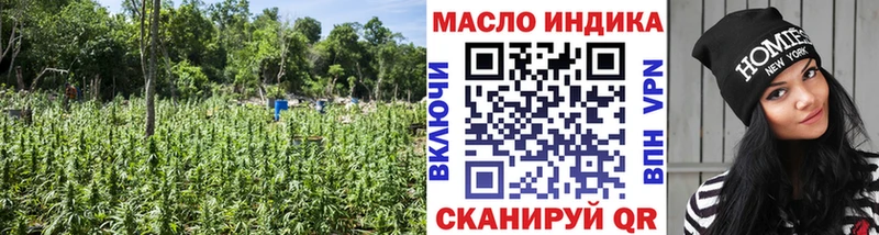 Купить где  Зима  Дистиллят ТГК вейп 