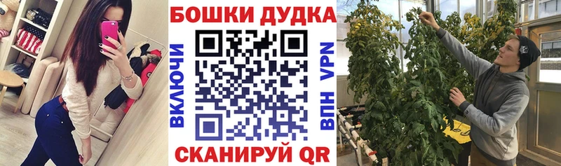 Купить закладки  Зима  Бошки марихуана Amnesia 